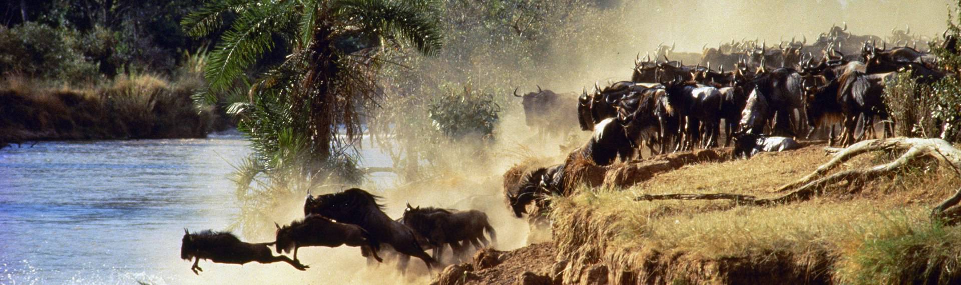 Magical Kenya
