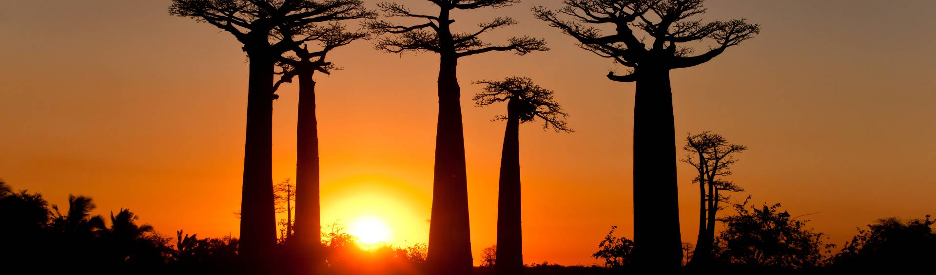 Madagascar